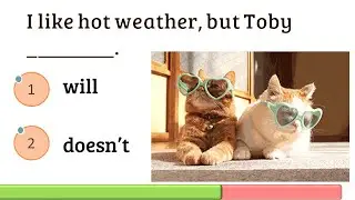 Auxiliary Verbs Quiz