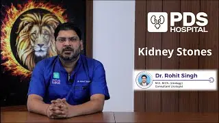 Kidney Stones Explained: Expert Advice by Dr. Rohit Singh | PDS Hospital, Pilibhit