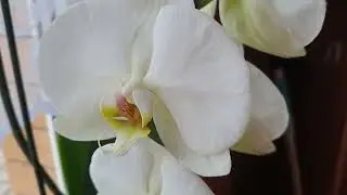 Какое величие!