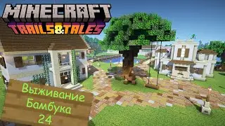 ВБ 24 