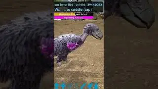 BREEDING TERROR BIRD,  WHOLE VIDEOS COMING SOON... #arksurvivalevolved #arksurvival #ark