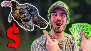 Budget Turkey Hunting!!! (Michigan Gobblers)