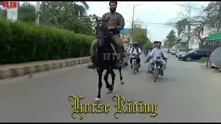 Horse Riding | Horse Training For Riding | Top 10 Horse Riders | Horse Racing | Horse Race | T Z TV