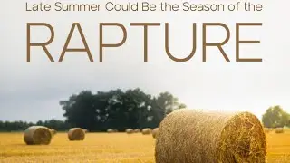 TEN REASONS WHY LATE SUMMER CAN BE SEASON OF THE RAPTURE - TW TRAMM article review - Night Watch -BC