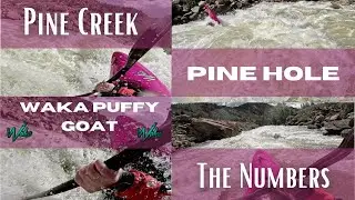 Colorado: Pine Creek and the Numbers Sections: 1800 CFS