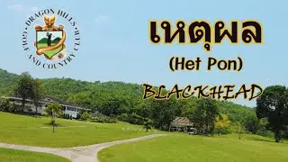 Dragon Hills Golf & Country Club (드래곤힐스 골프 & 컨트리 클럽)  : &ldquo;เหตุผล(Het Pon)&rdquo; -  BLACKHEAD  Guitar cover