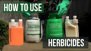 How to Use Herbicides