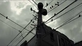 future garage x fred again x duskus type beat | BIRDS |