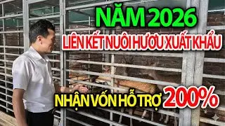 Liên Kết Nuôi Hươu Nga Xuất Khẩu 2026: Được Trang Trại Hỗ Trợ 200% Vốn Chăn Nuôi Không Thu Hồi Vốn