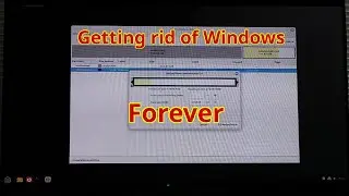 Remove Windows 10 from dualboot system