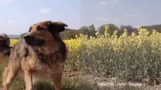 CGO3 4k Test 1080p 120