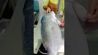 A big Coral fish cutting