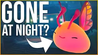 Do Flutter Slimes Disappear at Night in Slime Rancher 2?