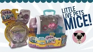 Little Live Pets Lil' Mouse and Lil' Mouse House!