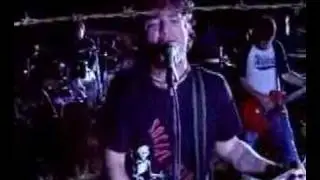 fatal destino-bulldog