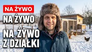 Naprawiamy prąd na działce