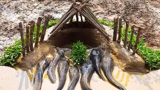 Amazing Fish Trap In The Deep Hole - Making an Underground Fish Trap System ! Easy Way to Trap Fish