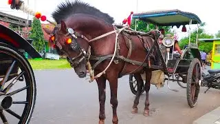 Titanen der Rennbahn fahren durch Brück 2022