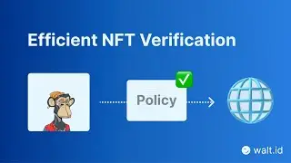 NFT Verification Across Ecosystems