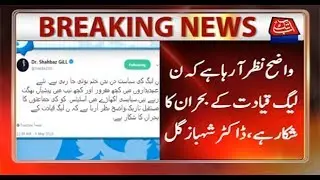 PML-N Leadership Is In Severe Crisis: Dr Shahbaz Gill