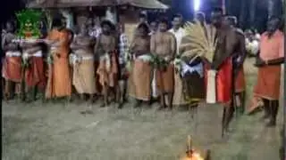 Thelliyoorkavu chooral adavi