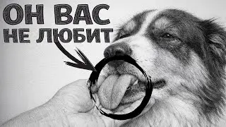 15 Признаков что Собака Тебя НЕНАВИДИТ! (даже если думаешь обратное)