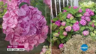 HSN | Spring Home & Outdoor Event Finale 03.11.2022 - 10 PM