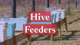Types of Sugar Water Feeders | Beekeeping Academy | Ep. 25