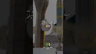 Ramzan me Madina 😢🙏🏻❤️ #foryou #love #mafina #peaceful #allbayan #cryingbayan #duet #poetry #islamic