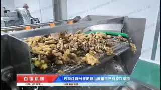 industrial dehydrated ginger powder dryer drying machine