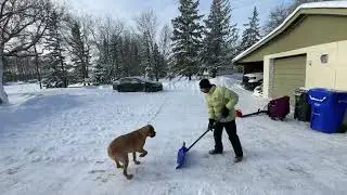 Snow cleaning in Canada #foryou #trending #vlog #snow #canada #winter #fyp #vlogger #explore