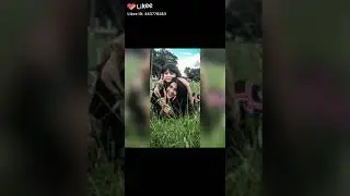 Afra mimo photo video