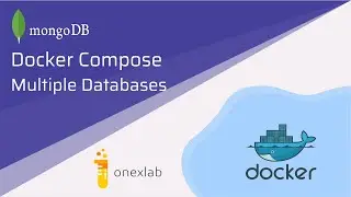 Docker MongoDB Multiple Databases