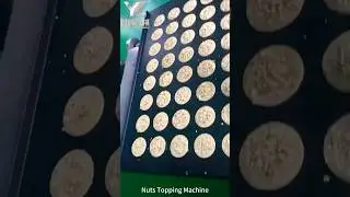 Cookies Nuts Topping Machine,Nuts Dropping Machine #多功能撒颗粒机