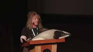Christine Rose - Māui and Hector&rsquo;s Dolphin Defenders | Manukau Harbour Symposium 2025
