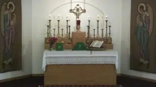 Sunday Mass 10/25/20 Trinity 20 St Albert The Liberal Catholic Church