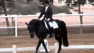 Tartan Special Prelim Championship 2004