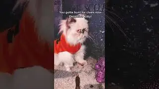 Detective Kitty! This is Halloween Town!