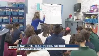 Stuckey Elementary selected as Blue Ribbon School