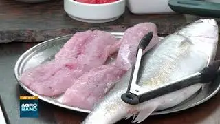 Gastronomia do litoral: Chef prepara receita com pescada branca