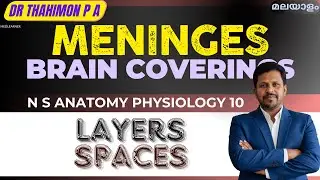 Meninges Malayalam Coverings of Brain Malayalam Nervous system Anatomy physiology Malayalam