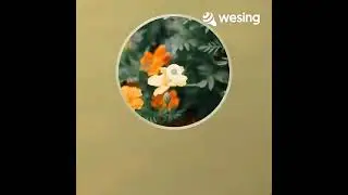 [WeSing] Words - Bee Gees (Cover by Listen & Leo57)