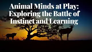 Animal Minds at Play | Exploring the Battle of Instinct and Learning