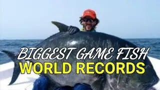 Biggest Game Fish World Records | Saltwater | Ikan Terbesar
