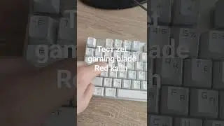 тест zet gaming blade (red kailh)