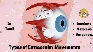 Types of Extra ocular Movements #Eyes  #optometry #studywithjeslin | Ductions | Versions | Vergences