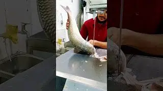 amazing giant river super Mregel fish cutting skills video #shot#youtubeshort #viral#video #fish