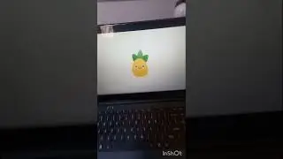 Llegó el premio del ganador del concurso | GOGODEV