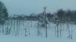 Операция дорожник провалилась с треском