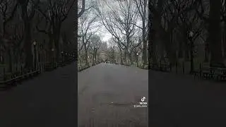 the literary walk